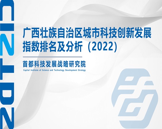 美女日逼一级【成果发布】广西壮族自治区城市科技创新发展指数排名及分析（2022）